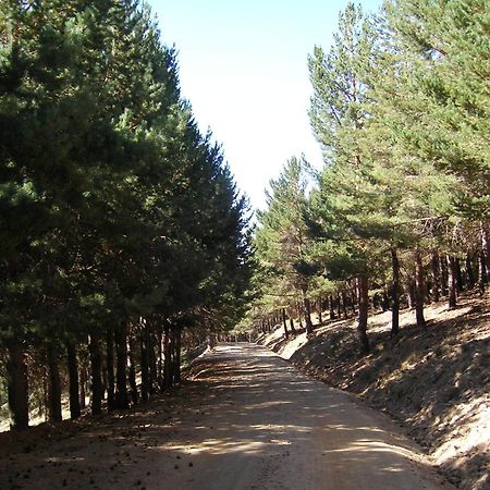 Hostal Rural Poqueira Capileira Dış mekan fotoğraf